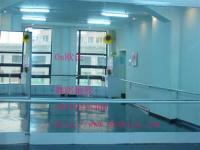 芭蕾舞塑膠地膠,芭蕾舞專用地墊[供應]_地板