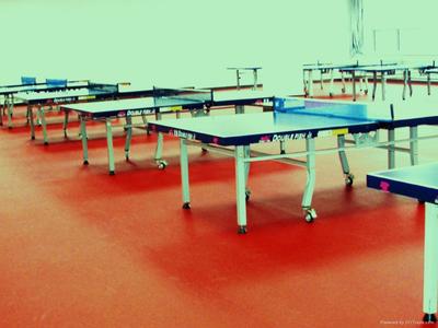 荷澤醫(yī)院塑膠地板,幼兒園塑膠地板,羽毛球地板,乒乓球地板_庫存體育運(yùn)動產(chǎn)品